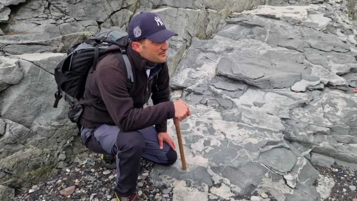 self.bildunterschrift